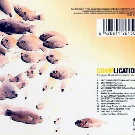 V.A. Complications 【Exogenic Breaks】
