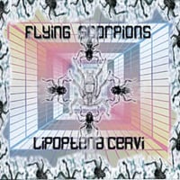 Flying Scorpions - Lipoptena Cervi