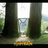Vishnudata – Vishnudata 【 Exogenic Records】