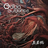 <<<NEW>>>  Gaida - Guidance