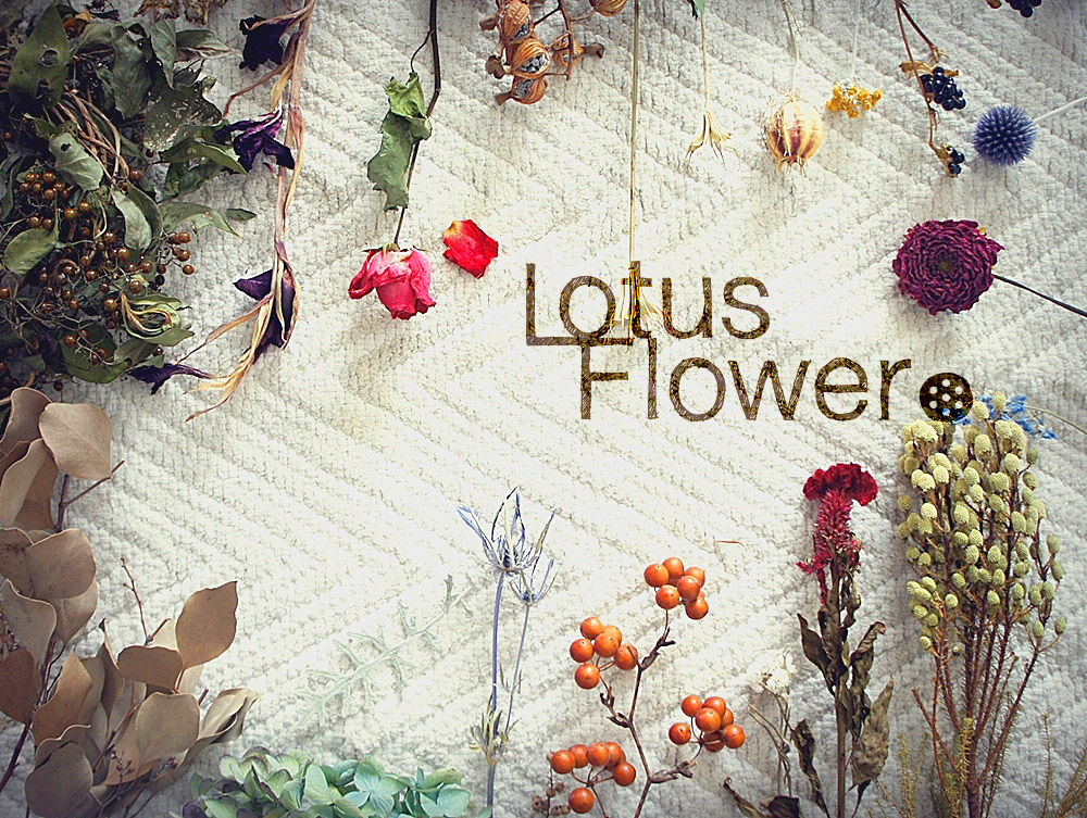Lotus Flower