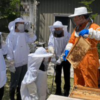 こいけや養蜂園の養蜂場見学
