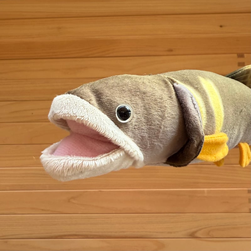 鮎 11cmぬいぐるみオーダー 川魚のぬいぐるみ】アユ・オイカワ・ウグイ | こいけやクリエイト WEB