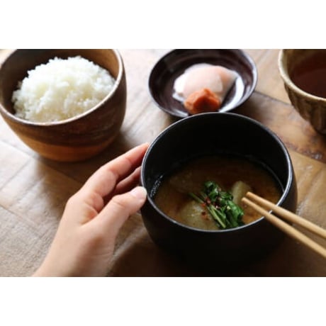 発酵ウコン味噌／ノーマル