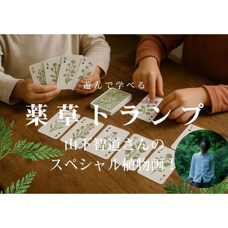 8/30　世界薬草博＠大阪　リアル参加チケット＆トランプ