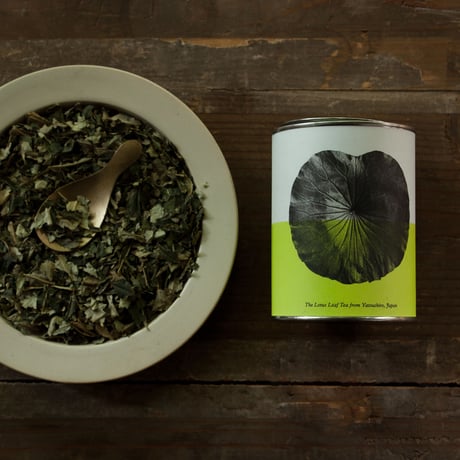 八代の日本古来のはすの葉茶