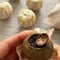 ３年熟成の宮廷茶・小青柑茶（6個入）