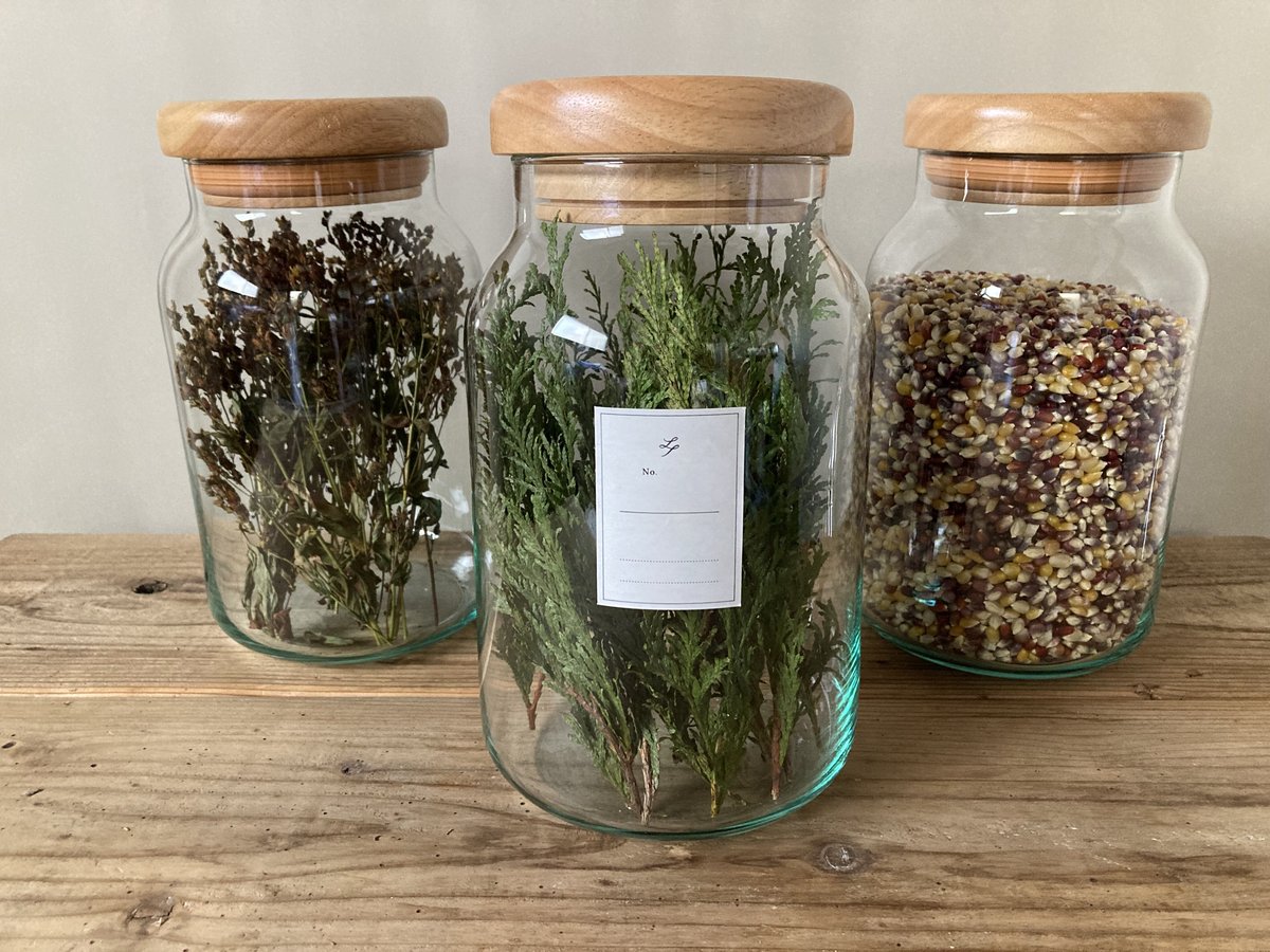 書籍【薬草手帖 ー心身を慈しむためにー】新田理恵 著（アノニマ