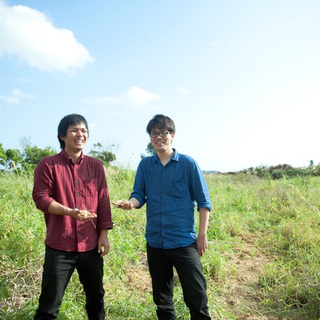 石垣島の香り華やか月桃茶