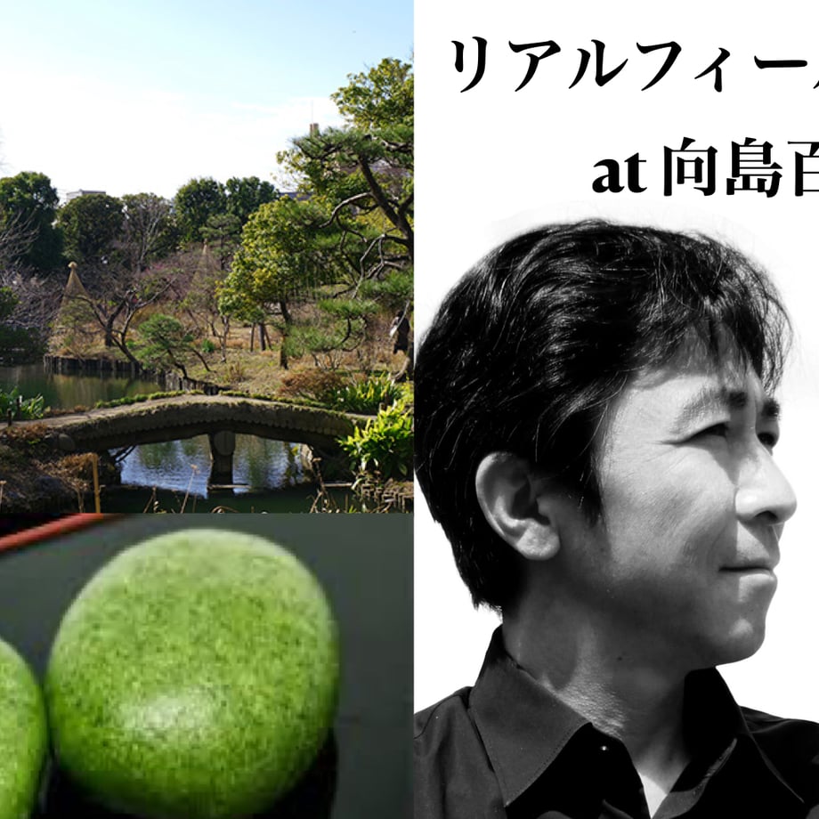 67ea5b04294039005d10ff65