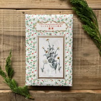 書籍・ちいさな手のひら事典「薬草」