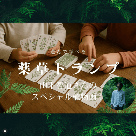 遊んで学べる「日本の薬草トランプ」