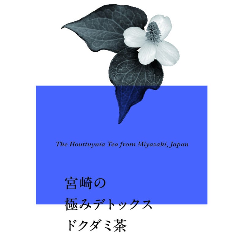 Dictionary DETOX デトックス大事典 Dictionary DETOX デトックス大事典