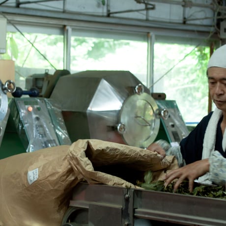 八代の日本古来のはすの葉茶/ティバッグ