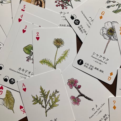 遊んで学べる「日本の薬草トランプ」