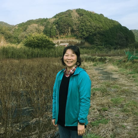 高知・黒潮町の視界すっきり花はぶ茶