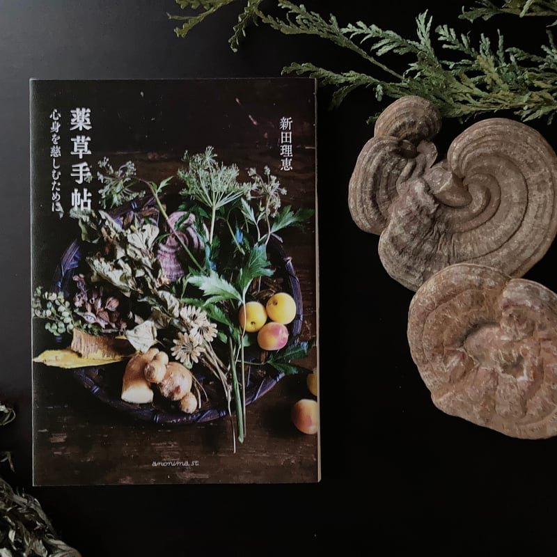 書籍【薬草手帖 ー心身を慈しむためにー】新田理恵 著（アノニマ