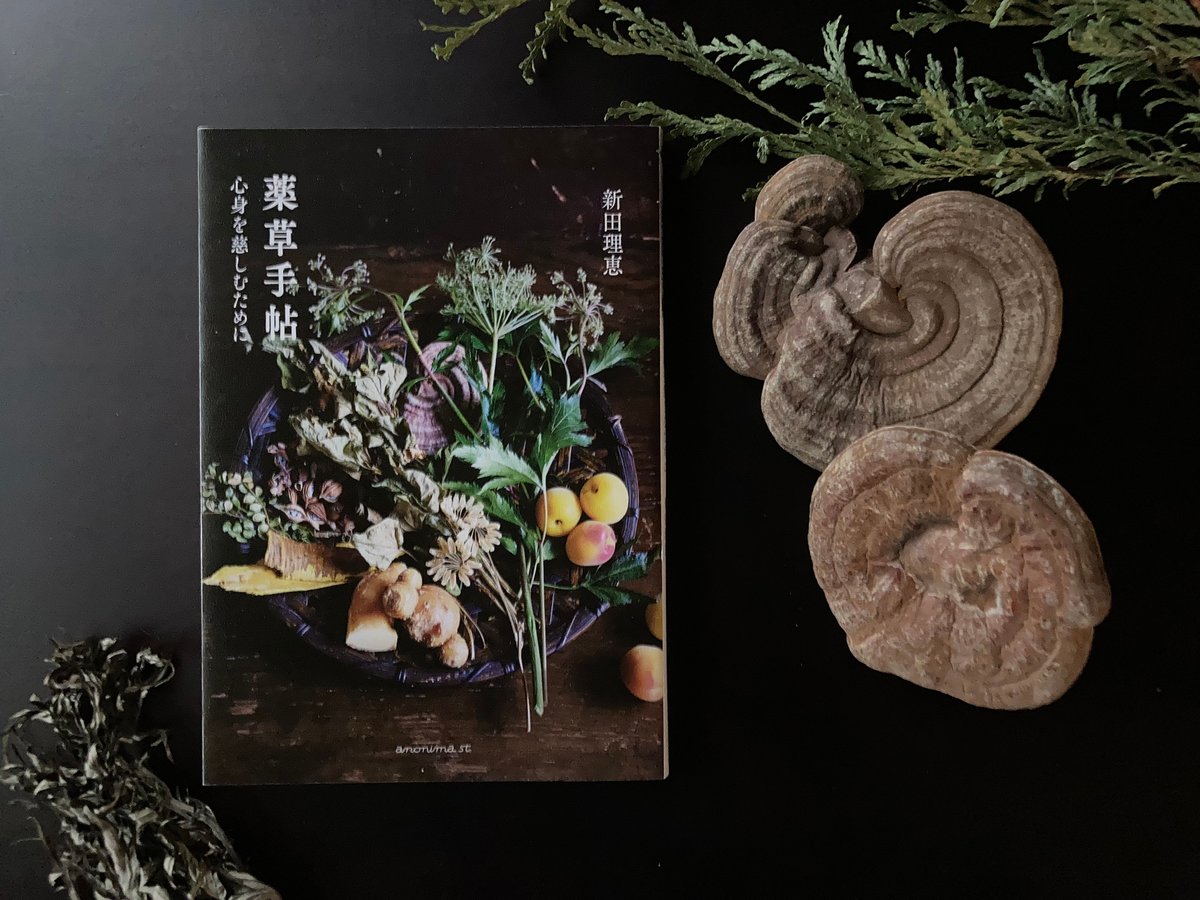 書籍【薬草手帖 ー心身を慈しむためにー】新田理恵 著（アノニマ