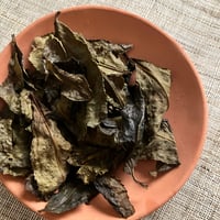 徳島の伝統発酵　阿波晩茶