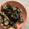 徳島の伝統発酵　阿波晩茶