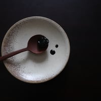奈良の梅エキス（４０g／小瓶）