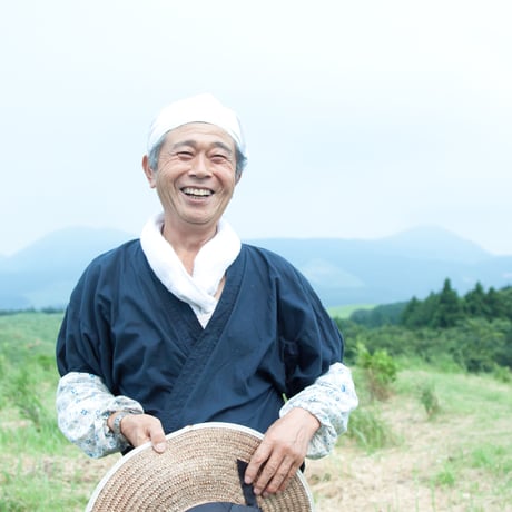 八代の日本古来のはすの葉茶/ティバッグ