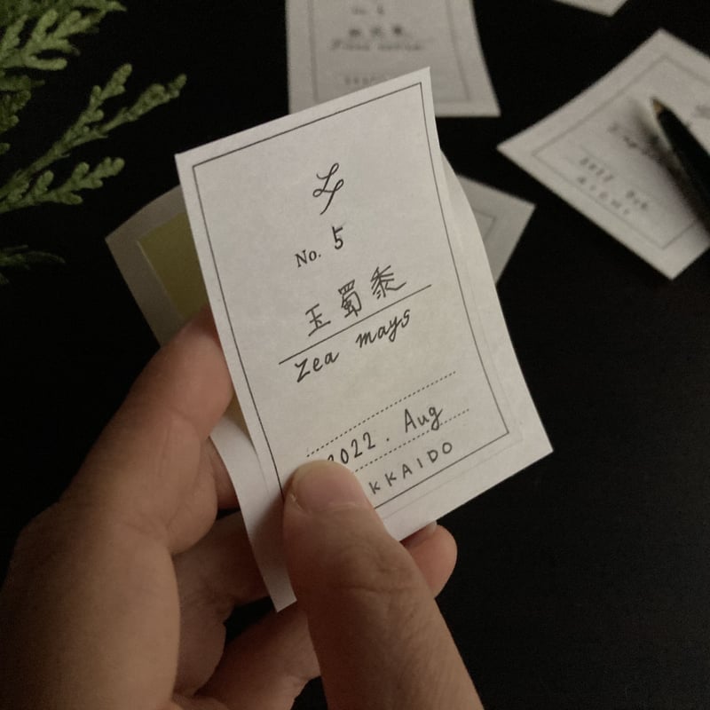 書籍【薬草手帖 ー心身を慈しむためにー】新田理恵 著（アノニマ