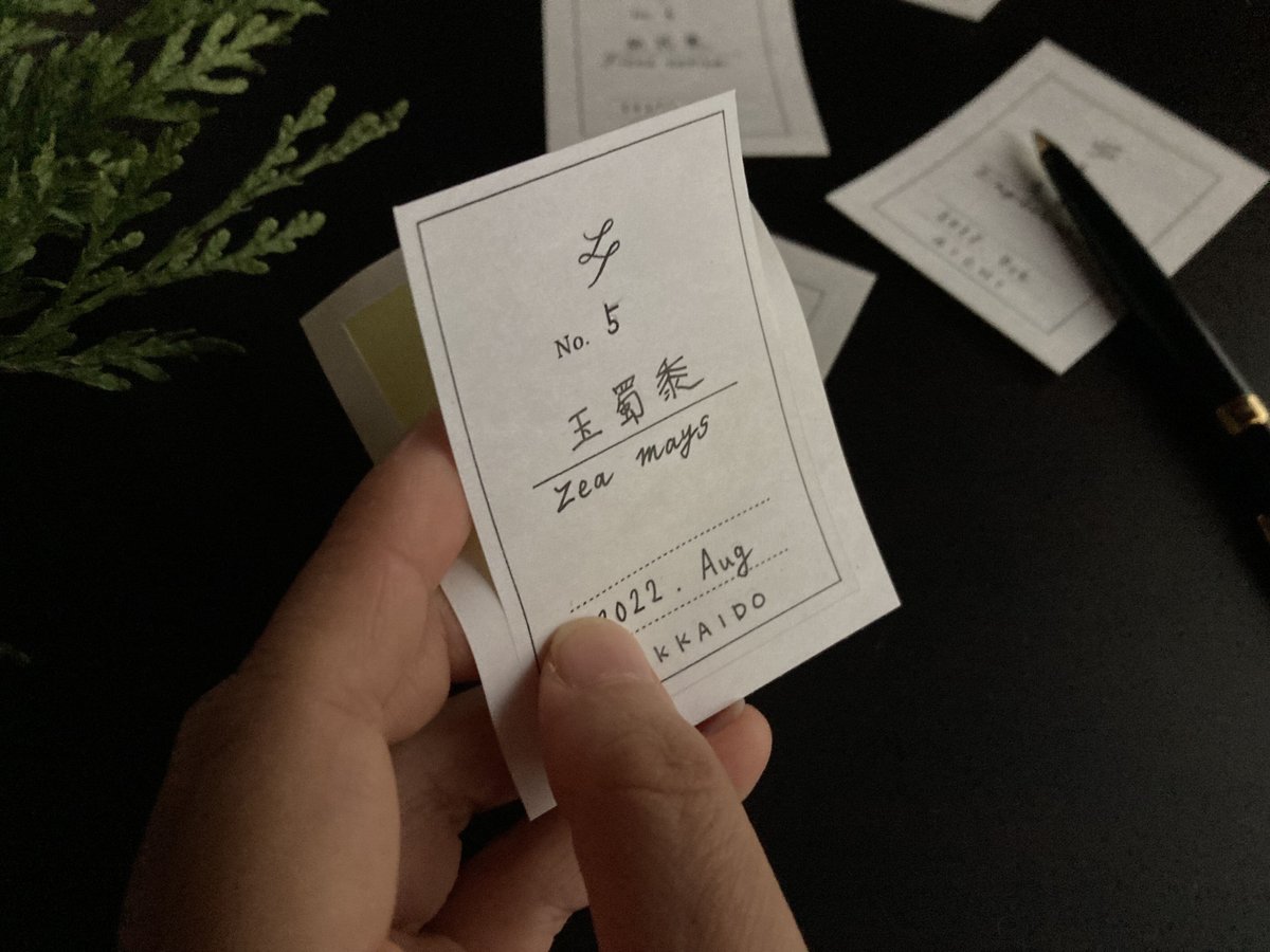 世田谷薬草調合室様オーダーページ 世田谷薬草調合室様オーダーページ 薬草を食べる 村上光太郎 著