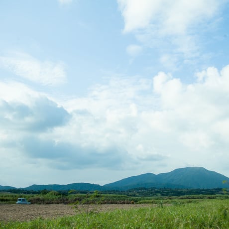石垣島の香り華やか月桃茶/ティバック