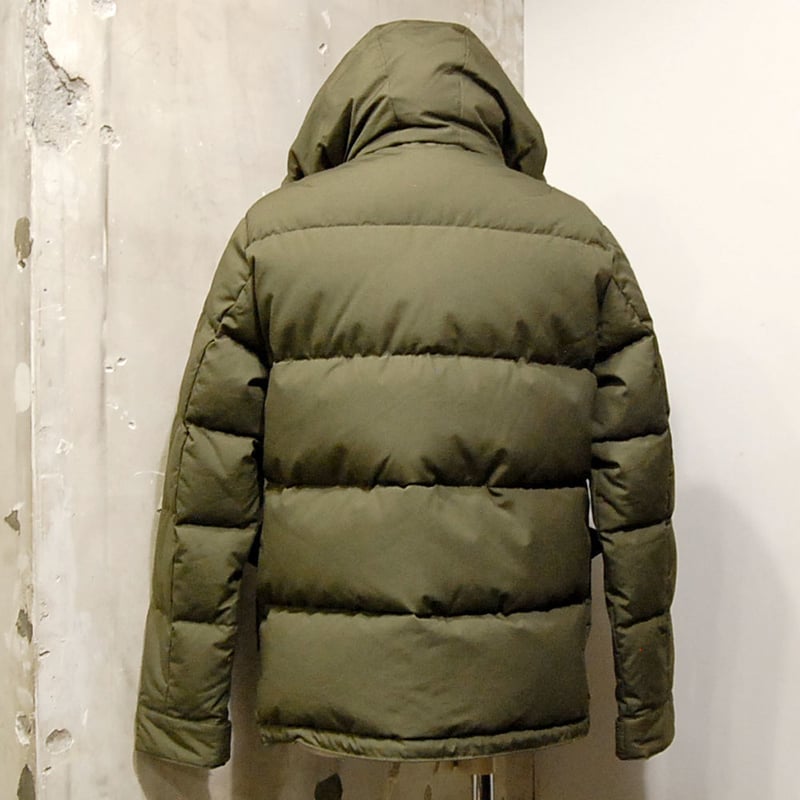 ZANTER JAPAN 6710 COLOBANTHUS QUITENSIS ZANTE