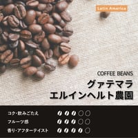 グァテマラ エルインヘルト農園 ウォッシュト