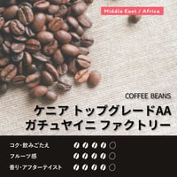 ケニア ガチュヤイニ ファクトリーAA【やや深】