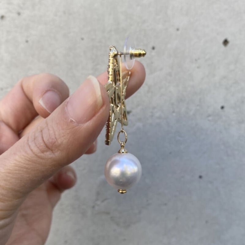 2WAY】Star&Moon イヤリング／ピアス／ピンブローチ | casaceleste