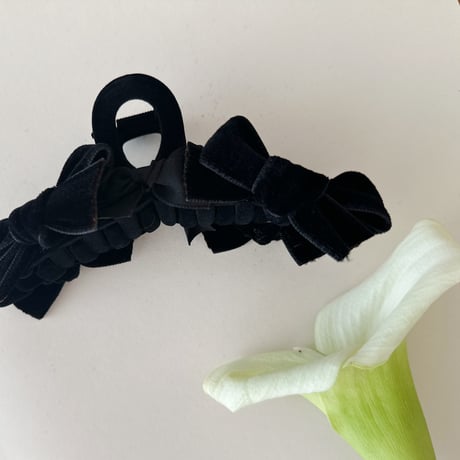 ribbon  clip