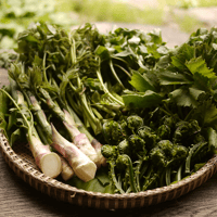 天然山菜（1000g）　Edible Wild Plants