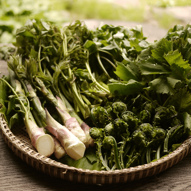 天然山菜（200g） Edible Wild Plants | 日知舎
