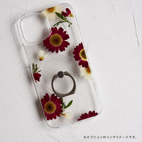 iPhone..etc / 押し花ケース 230215_2
