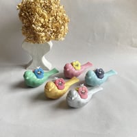 bird