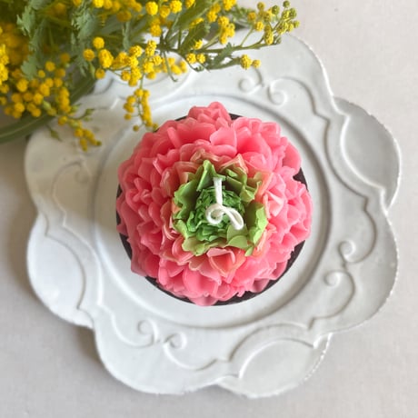 roseveil