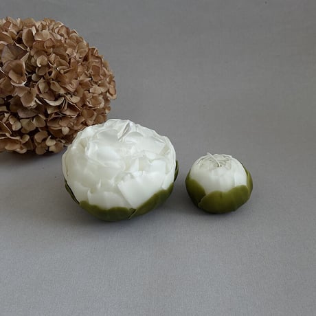 フラワーキャンドル "peony -深山の雪"【受注生産】