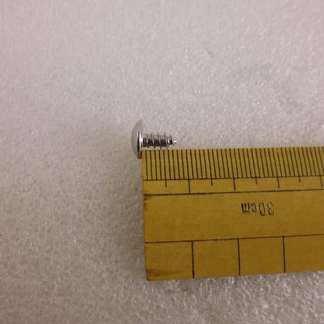 20本セット トラス頭 ４×8 タッピングねじ SUS304   ( ZHW-945 )