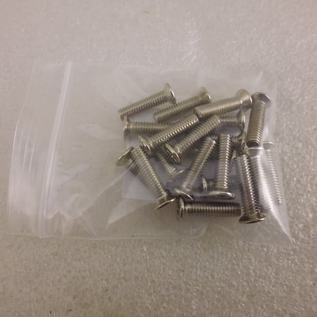 20本セット 皿頭 M4×14ねじ (Niメッキ) ( ZHW-979 )