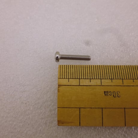 10本セット 十字鍋頭 SUS304 M3×16 ( ZHW-967 )