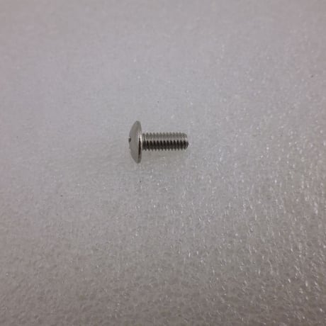 20本セット   M4×10 十字トラスネジ SUS304  ( ZHW-557 )