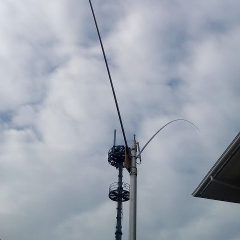 48時間以内に発送 ○お名前、住所は正確にご注文時ご記入ください。 | 高品質低価格の