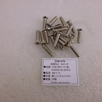 20本セット 皿頭 M4×14ねじ (Niメッキ) ( ZHW-979 )