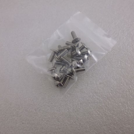 20本セット   M4×10 十字トラスネジ SUS304  ( ZHW-557 )