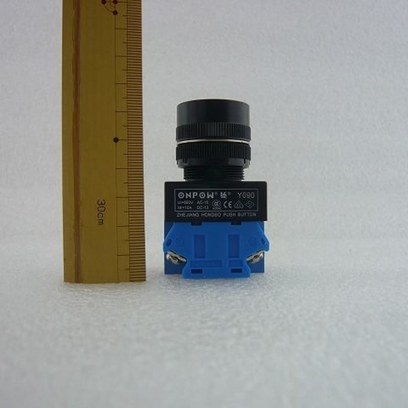 Φ22 プッシュボタンスイッチ 頭出てないTYPE 青色 ( ZHW-438 ) | 高品