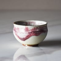 丹波焼 信凜窯 仲岡信人 彩色灰釉 カップ 赤｜Tamba pottery shinringama cup 小鉢 茶碗 和食器 器 うつわ 窯元 丹波立杭 日本六古窯 フリーカップ 湯呑み ギフト