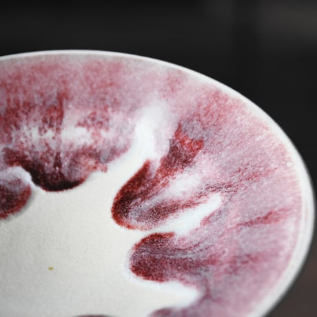 丹波焼 信凜窯 仲岡信人 彩色灰釉 皿 赤 22㎝｜Tamba pottery shinringama plate 和食器 器 パスタ皿 プレート 大皿 丹波立杭 釉薬 窯元 ギフト